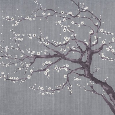 Tapet floral cu ramură de cires japonez înflorită, perfect pentru a crea o atmosferă relaxantă și primitoare.
