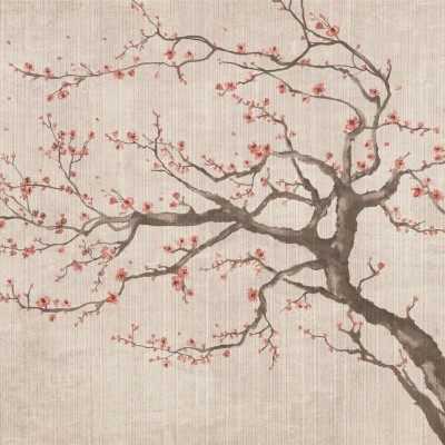 Tapet foto cu flori de cireș Sakura Spring VII
