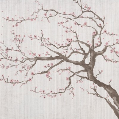 Un tapet floral minimalist care ilustreaza o ramura de cires in floare, cu flori roz delicate pe un fundal de textura naturala.