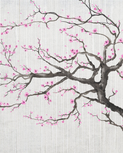 Sakura Spring X, Photowall