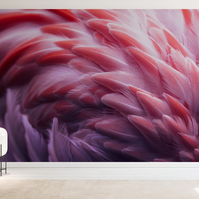 Fototapet Flamingo cu pene roz delicate