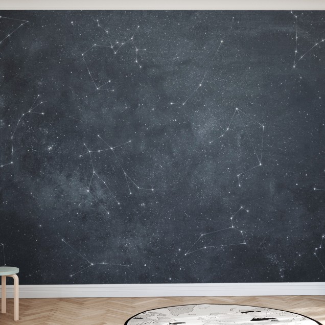 Zoodiac Sky IV, tapet cu stele și constelații pe un fundal gri,  imagine modernă și minimalistă pentru decorarea pereților