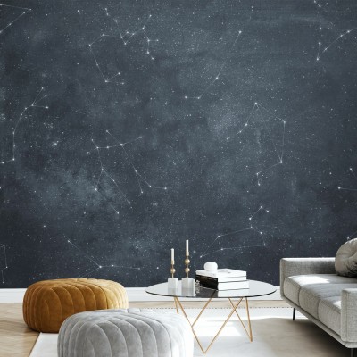 Zoodiac Sky IV, tapet cu stele și constelații pe un fundal gri,  imagine modernă și minimalistă pentru decorarea pereților