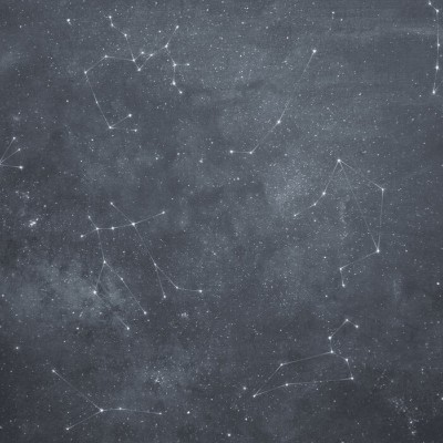 Zoodiac Sky IV, tapet cu stele și constelații pe un fundal gri,  imagine modernă și minimalistă pentru decorarea pereților