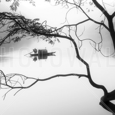 Tapet Fog, cu un copac invaluit in ceata, reflectat pe o suprafata de apa