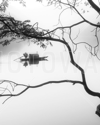Tapet Fog, cu un copac invaluit in ceata, reflectat pe o suprafata de apa