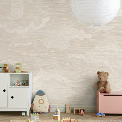 Up and Away - Blush, Photowall
