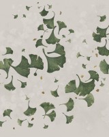 Ginkgo Leaves Blowin in the Wind, Natur, Photowall