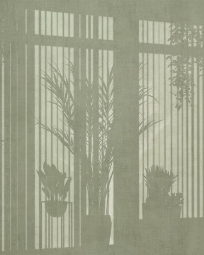 Tapet cu design modern, cu siluete de plante și ferestre, în culori verzi.