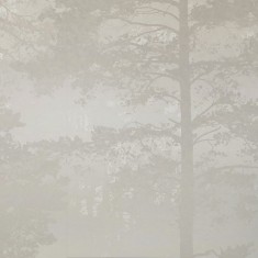 Fototapet Misty Pine Forest, Beige, Personalizat, Photowall