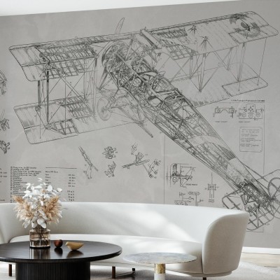 Avro 504K Airplane - Bright, Photowall, tapet cu avion