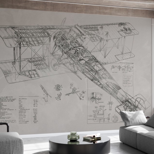 Avro 504K Airplane - Bright, Photowall, tapet cu avion