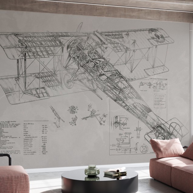 Avro 504K Airplane - Bright, Photowall, tapet cu avion