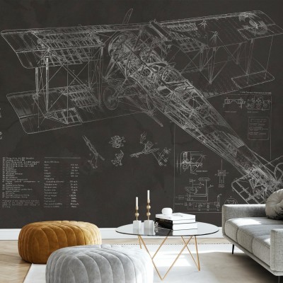 Tapet cu design vintage al avionului Avro 504K. Tapetul ilustrează schematic o vedere din față a aeronavei, cu detalii meticuloase ale componentelor sale.