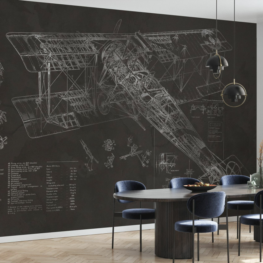 Avro 504K Airplane - Bright, Photowall, tapet cu avion