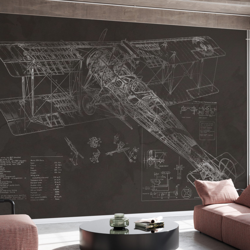 Avro 504K Airplane - Bright, Photowall, tapet cu avion