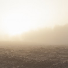 Fototapet Northern Field at Dawn, personalizat, Photowall