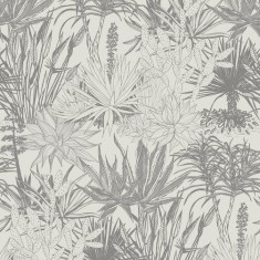 Fototapet Succulents, Grey, personalizat, Photowall