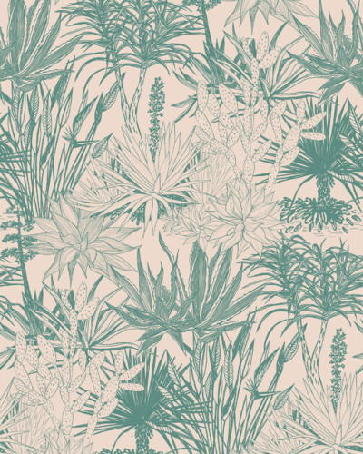 Tapet cu suculente teal pe roz, model floral fin, perfect pentru living, dormitor sau birou