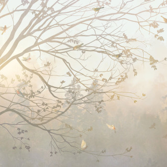 Illuminated Tree, Photowall