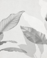 Wild Bouquet, Bw, Photowall