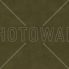 Fototapet Antique Stone Wall, Decayed Green, personalizat, Photowall