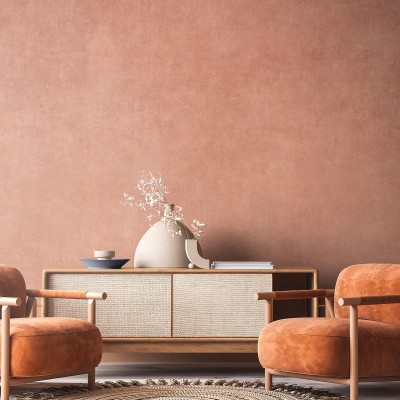 Perete decorativ cu piatră antică, în nuanțe de somon, cu textura sa autentică, creând o atmosferă primitoare și caldă.