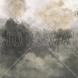 Romantic Landscape - Neutral, Photowall