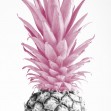 Fototapet Pineapple Pink III, Photowall