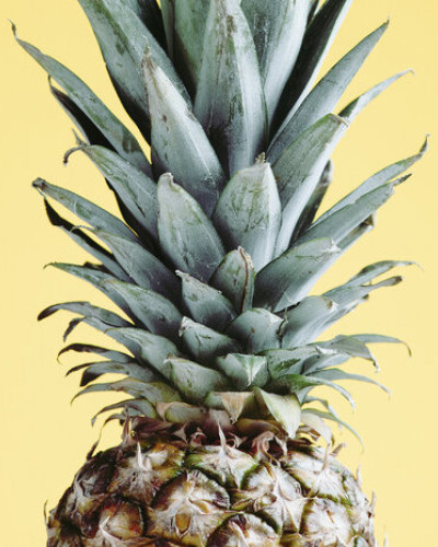 Tapet cu ananas galben pe fundal
