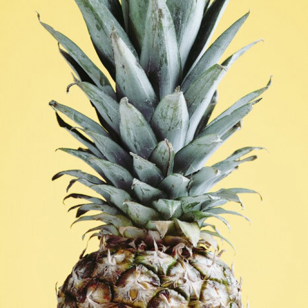Tapet cu ananas galben pe fundal
