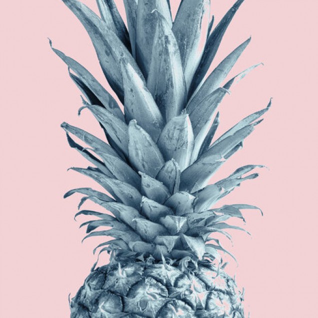 Fototapet Pineapple Pink VI, ananas albastru deschis pe fundal roz