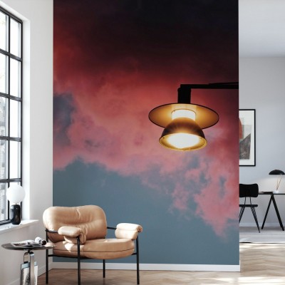 Tapet cu un design modern Twilight Pink