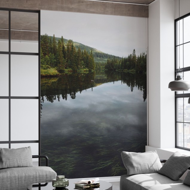 Tapet foto cu o imagine a unui râu care curge printr-o pădure, perfect pentru a aduce natura în casa ta.
