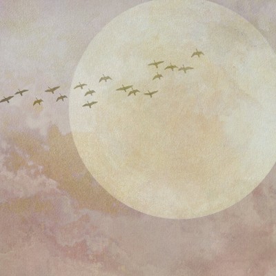 Fototapet cu luna și păsări în zbor
