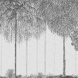 Fototapet Trees Cascade, Graphite, Photowall