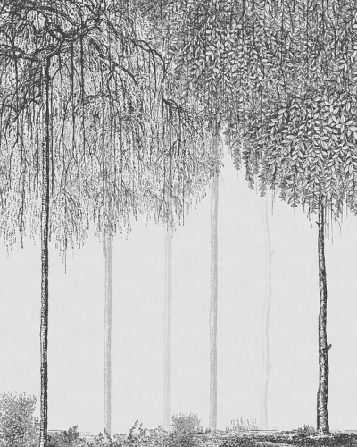 Tapet Trees Cascade, Graphite, imagine in interiorul unui living modern, cu canapea gri, masa de cafea si mobilier elegant