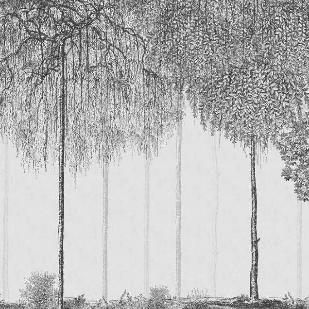 Tapet Trees Cascade, Graphite, imagine in interiorul unui living modern, cu canapea gri, masa de cafea si mobilier elegant