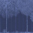 Fototapet Trees Cascade, Lazuli, Photowall