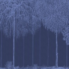 Fototapet Trees Cascade, Lazuli, personalizat, Photowall