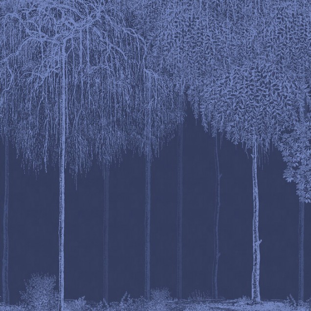 Trees Cascade, Lazuli, wallpaper