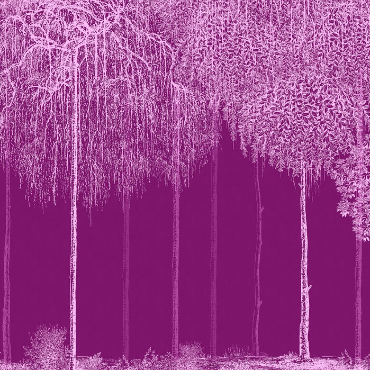 Fototapet Photowall PHW-e333876. Conține culorile: