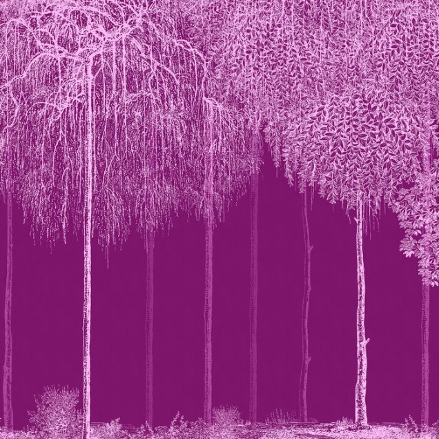 Un wallpaper cu un design elegant, reprezentând o cascadă de copaci albaștri pe un fundal magenta vibrant.