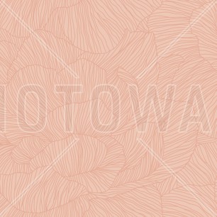 Fototapet Rose, Apricot Lush, Personalizat, Photowall