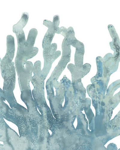 Blue Macro Coral III, Photowall
