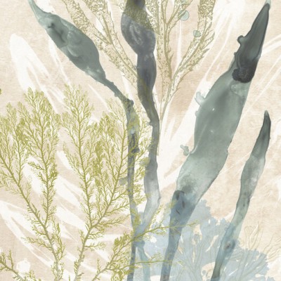 Tapet vintage cu design abstract inspirat de lumea marină, în nuanțe delicate de verde și bej. Perfect pentru living, dormitor sau bucătărie.