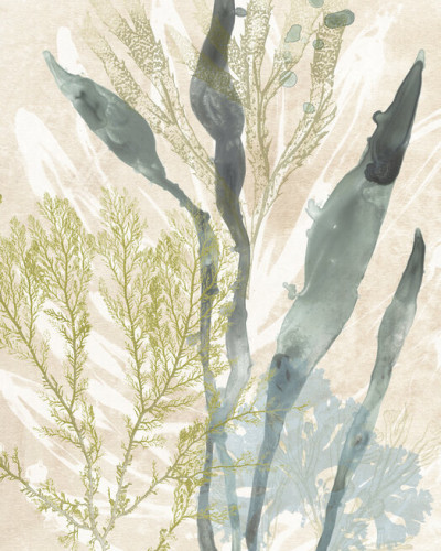 Vintage Ocean Jewels, Photowall