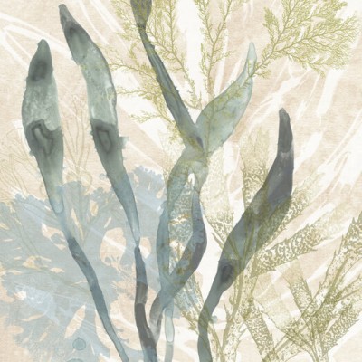 Tapet cu design artistic Vintage Ocean Jewels II de Photowall