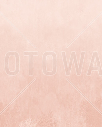 Coral Concrete, Peach,  în culoarea piersicii, cu accente albe, în design modern.