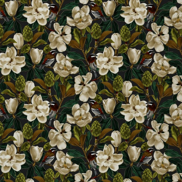 Tapet cu flori Magnolia Antracite cu flori albe de magnolie pe fundal antracit